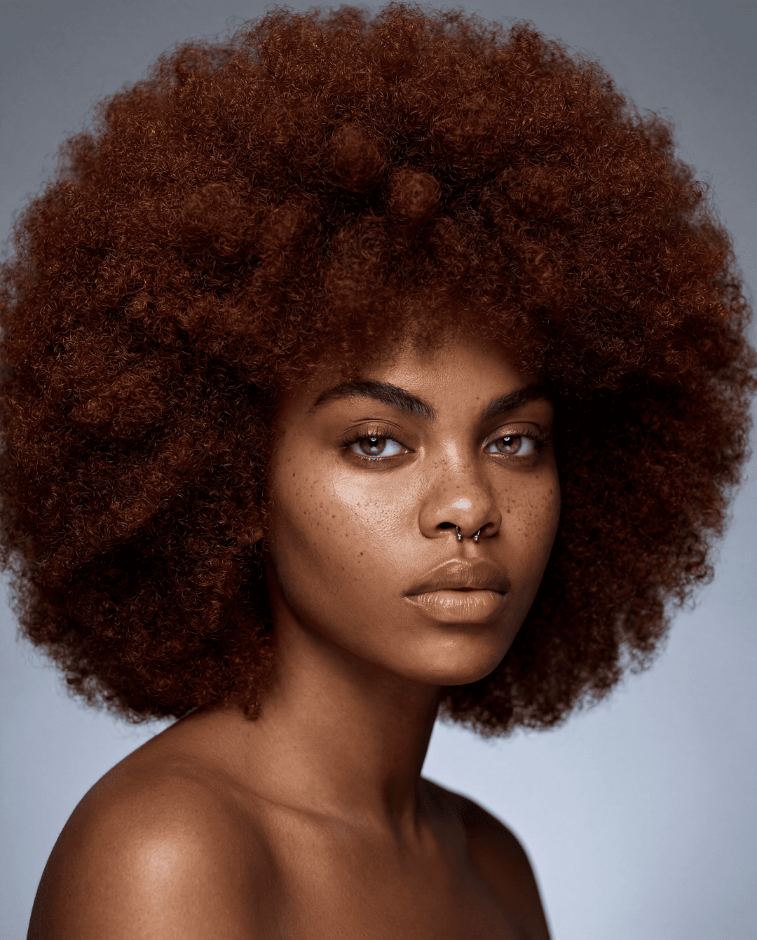 A hyperrealistic photograph, studio lighting, detailed, headshot of a stunning Black woman, her face a canvas of strength and beauty. Her natural Afro, voluminous and perfectly shaped, frames her face, with a rich, deep auburn hue. The catchlights in her eyes reflect a subtle intensity, and her skin, flawlessly smooth, glows under the expert lighting. The background is a soft, diffused studio grey, allowing her to be the sole focus. The image is sharp, with incredible detail in her hair texture and skin, as if captured by a high-end Hasselblad with a 85mm f/1.2 lens.